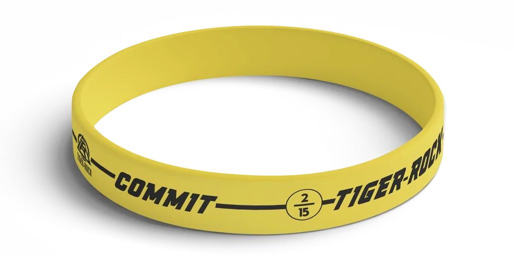 Commit R15E step